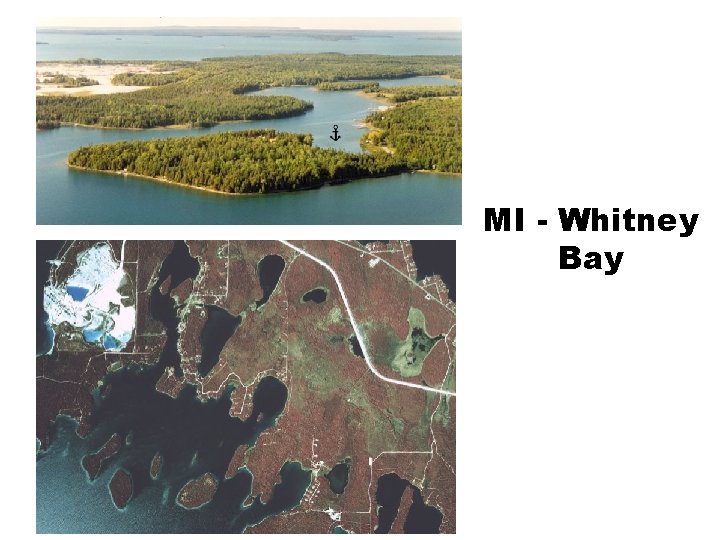 MI - Whitney Bay 
