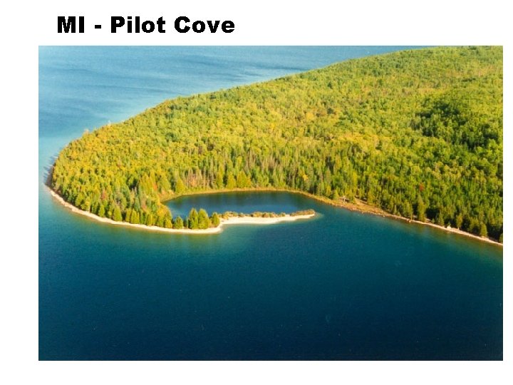 MI - Pilot Cove 