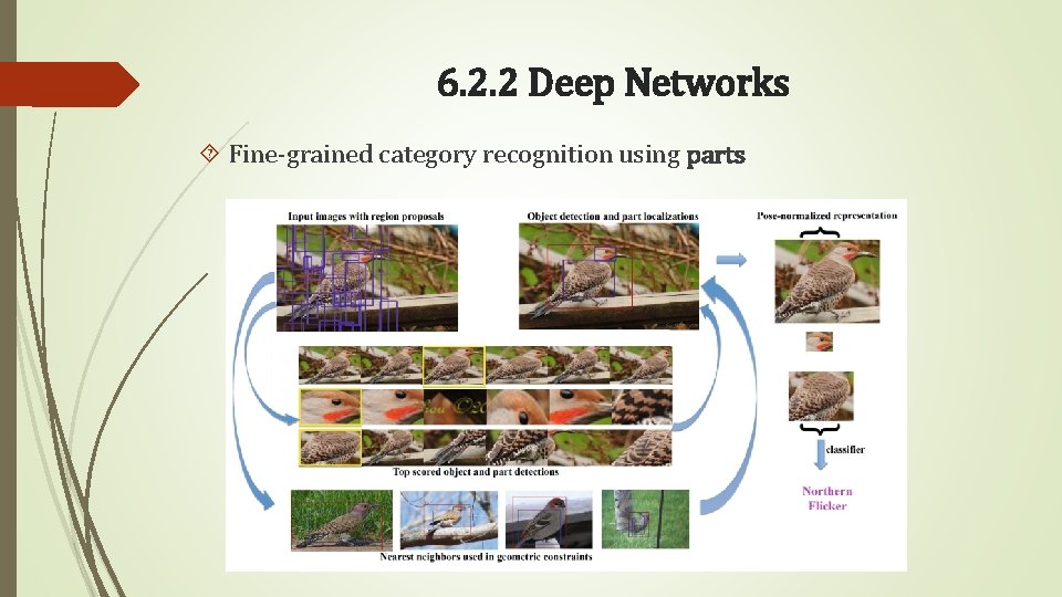 6. 2. 2 Deep Networks Fine-grained category recognition using parts 