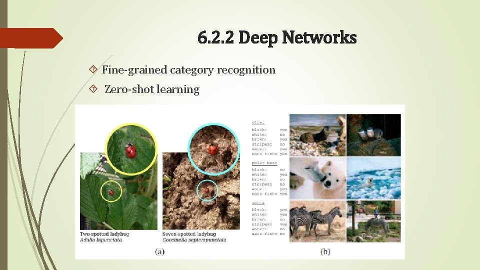 6. 2. 2 Deep Networks Fine-grained category recognition Zero-shot learning 