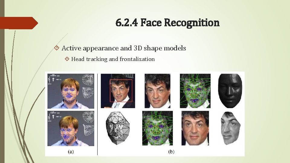 6. 2. 4 Face Recognition Active appearance and 3 D shape models Head tracking