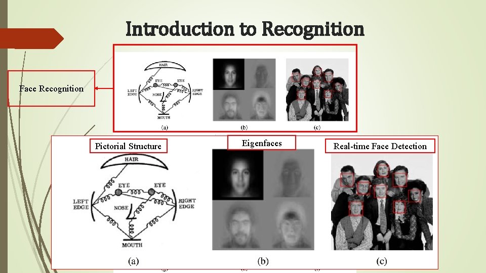 Introduction to Recognition Face Recognition Pictorial Structure Eigenfaces Real-time Face Detection 