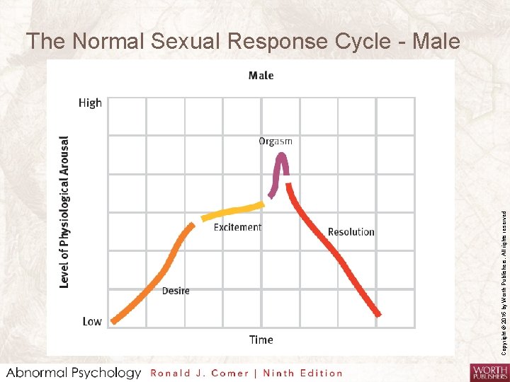 Copyright © 2015 by Worth Publishers. All rights reserved The Normal Sexual Response Cycle