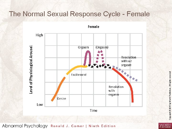 Copyright © 2015 by Worth Publishers. All rights reserved The Normal Sexual Response Cycle