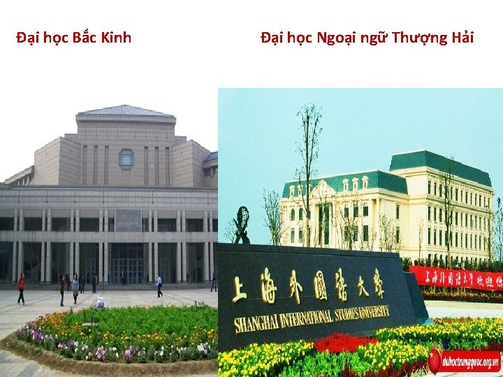 Đại học Bắc Kinh Đại học Ngoại ngữ Thượng Hải 