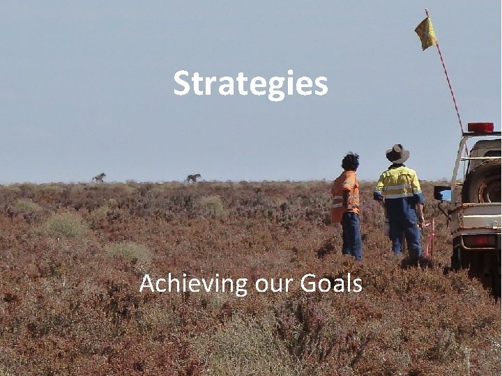 Strategies Achieving our Goals 