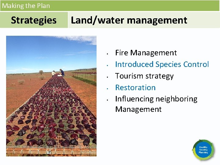 Making the Plan Strategies Land/water management • • • Fire Management Introduced Species Control