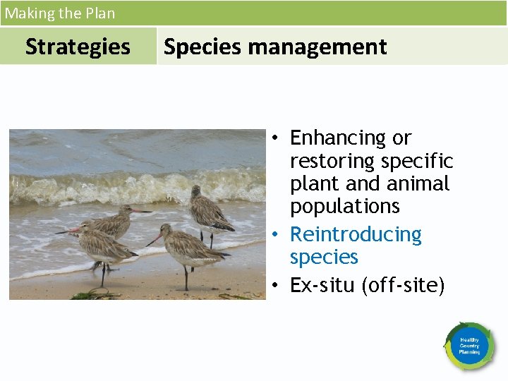 Making the Plan Strategies Species management • Enhancing or restoring specific plant and animal