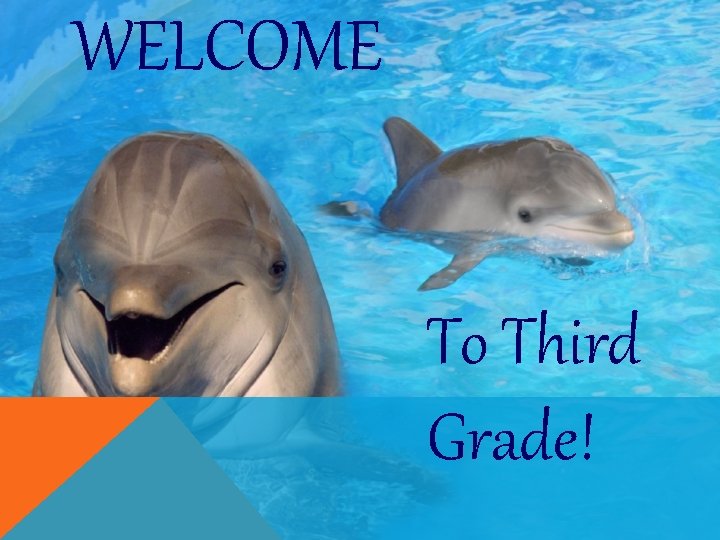 WELCOME To Third Grade! 
