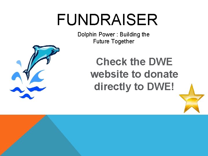 FUNDRAISER Dolphin Power : Building the Future Together Check the DWE website to donate