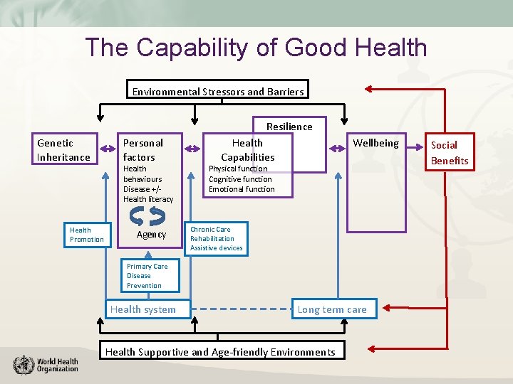 Health Capability Model Human Rights and Ageing Populations Ageing and Health