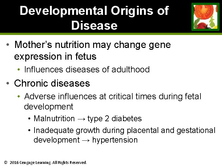 Developmental Origins of Disease • Mother’s nutrition may change gene expression in fetus • Developmental Origins of Disease • Mother’s nutrition may change gene expression in fetus •