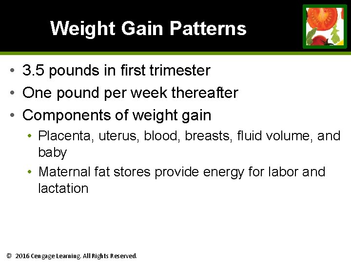 Weight Gain Patterns • 3. 5 pounds in first trimester • One pound per Weight Gain Patterns • 3. 5 pounds in first trimester • One pound per