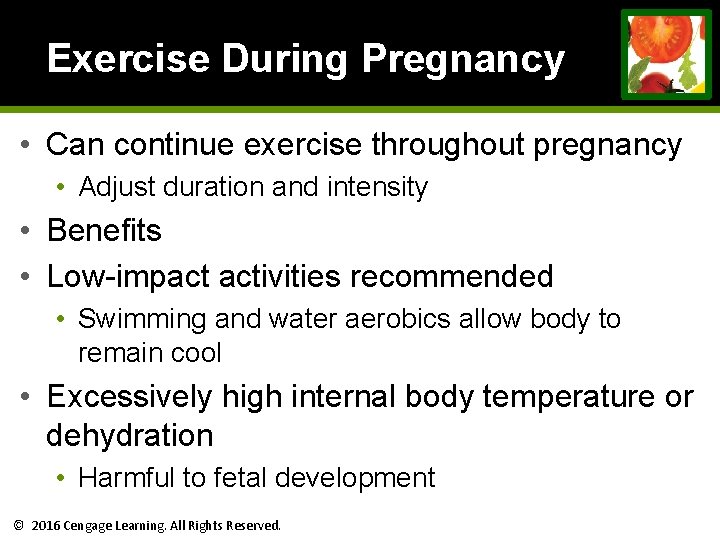 Exercise During Pregnancy • Can continue exercise throughout pregnancy • Adjust duration and intensity Exercise During Pregnancy • Can continue exercise throughout pregnancy • Adjust duration and intensity
