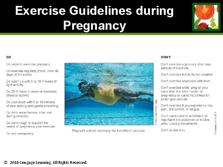 Exercise Guidelines during Pregnancy © 2016 Cengage Learning. All Rights Reserved. Exercise Guidelines during Pregnancy © 2016 Cengage Learning. All Rights Reserved.