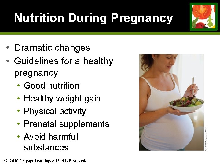 Nutrition During Pregnancy • Dramatic changes • Guidelines for a healthy pregnancy • • Nutrition During Pregnancy • Dramatic changes • Guidelines for a healthy pregnancy • •