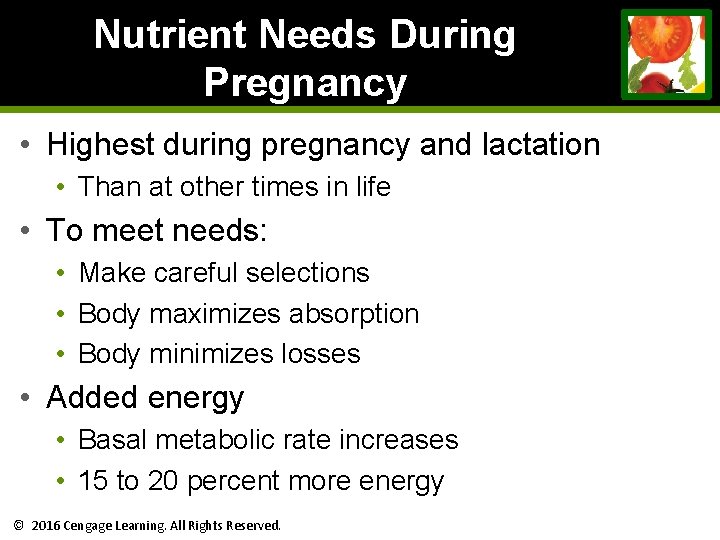 Nutrient Needs During Pregnancy • Highest during pregnancy and lactation • Than at other Nutrient Needs During Pregnancy • Highest during pregnancy and lactation • Than at other