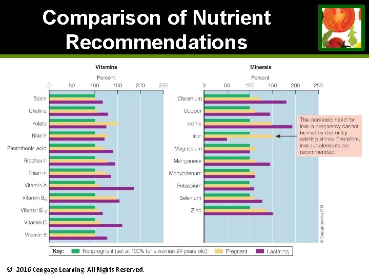 Comparison of Nutrient Recommendations © 2016 Cengage Learning. All Rights Reserved. Comparison of Nutrient Recommendations © 2016 Cengage Learning. All Rights Reserved.