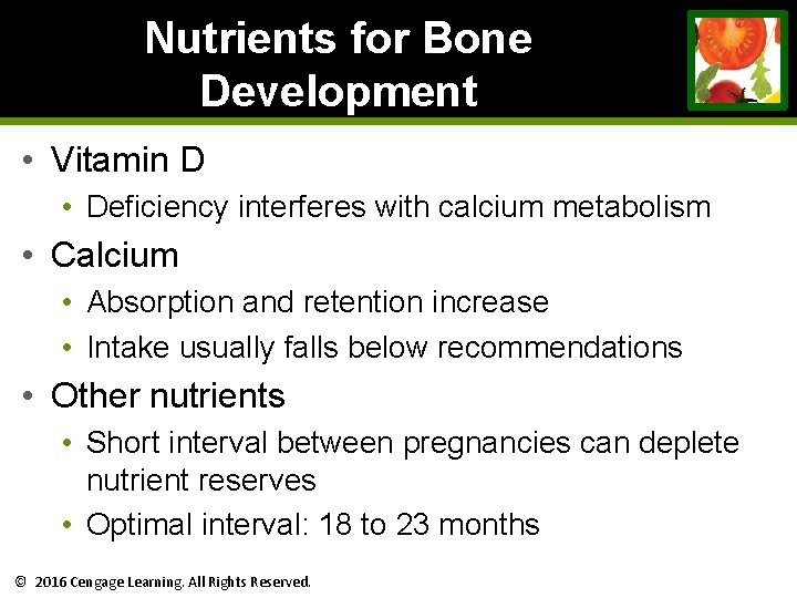 Nutrients for Bone Development • Vitamin D • Deficiency interferes with calcium metabolism • Nutrients for Bone Development • Vitamin D • Deficiency interferes with calcium metabolism •