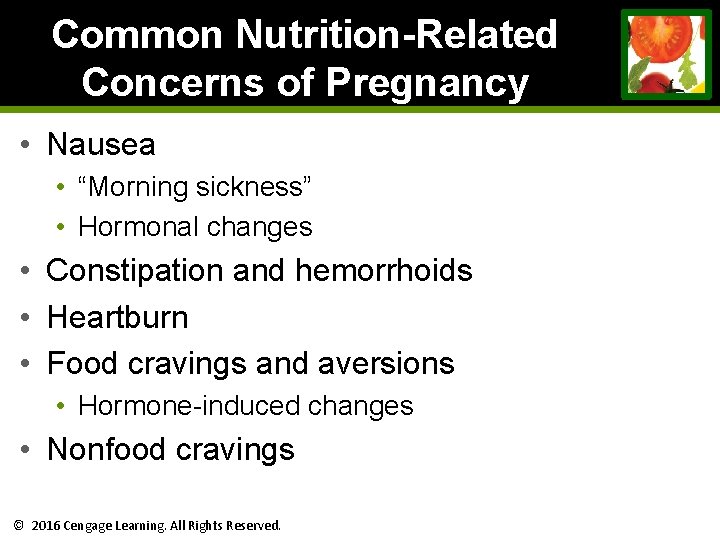 Common Nutrition-Related Concerns of Pregnancy • Nausea • “Morning sickness” • Hormonal changes • Common Nutrition-Related Concerns of Pregnancy • Nausea • “Morning sickness” • Hormonal changes •