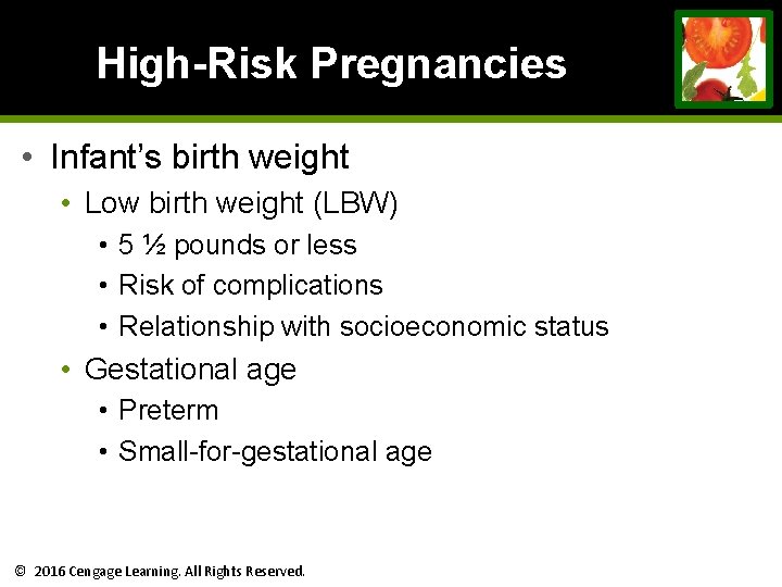 High-Risk Pregnancies • Infant’s birth weight • Low birth weight (LBW) • 5 ½ High-Risk Pregnancies • Infant’s birth weight • Low birth weight (LBW) • 5 ½
