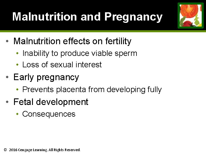 Malnutrition and Pregnancy • Malnutrition effects on fertility • Inability to produce viable sperm Malnutrition and Pregnancy • Malnutrition effects on fertility • Inability to produce viable sperm