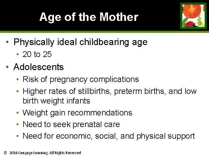 Age of the Mother • Physically ideal childbearing age • 20 to 25 • Age of the Mother • Physically ideal childbearing age • 20 to 25 •
