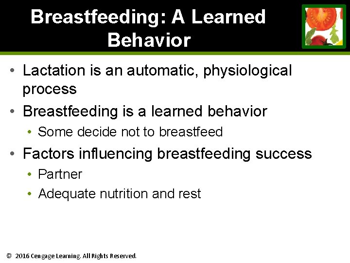 Breastfeeding: A Learned Behavior • Lactation is an automatic, physiological process • Breastfeeding is Breastfeeding: A Learned Behavior • Lactation is an automatic, physiological process • Breastfeeding is