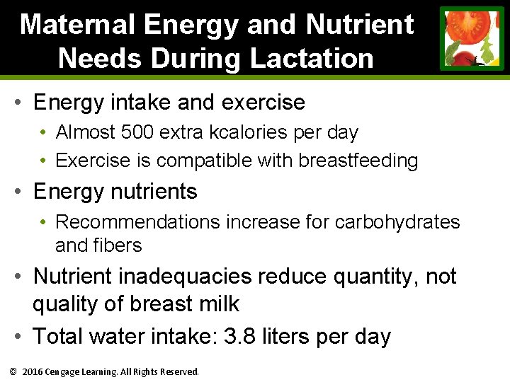 Maternal Energy and Nutrient Needs During Lactation • Energy intake and exercise • Almost Maternal Energy and Nutrient Needs During Lactation • Energy intake and exercise • Almost