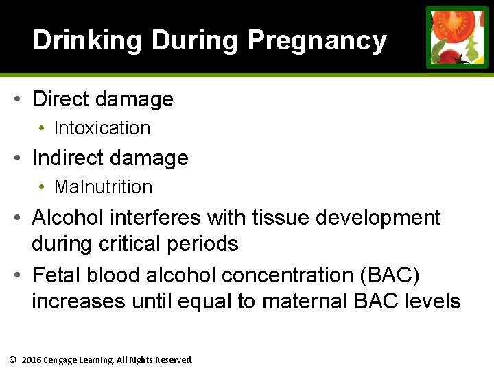 Drinking During Pregnancy • Direct damage • Intoxication • Indirect damage • Malnutrition • Drinking During Pregnancy • Direct damage • Intoxication • Indirect damage • Malnutrition •