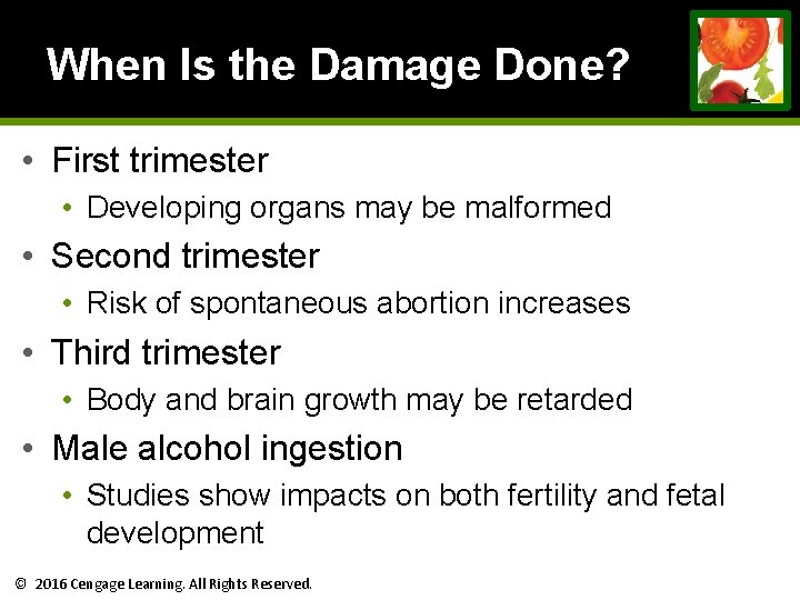 When Is the Damage Done? • First trimester • Developing organs may be malformed When Is the Damage Done? • First trimester • Developing organs may be malformed