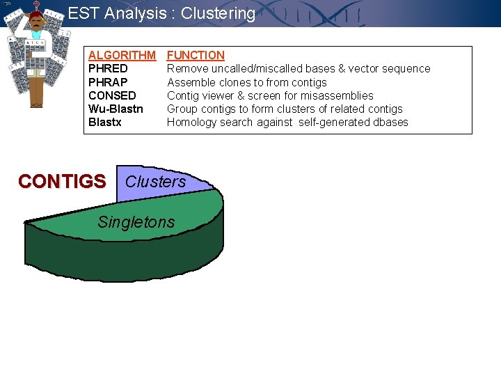 EST Analysis : Clustering ALGORITHM PHRED PHRAP CONSED Wu-Blastn Blastx FUNCTION Remove uncalled/miscalled bases