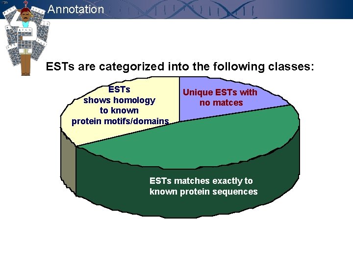 Annotation ESTs are categorized into the following classes: ESTs shows homology to known protein