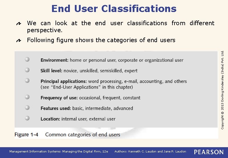 End User Classifications We can look at the end user classifications from different perspective.