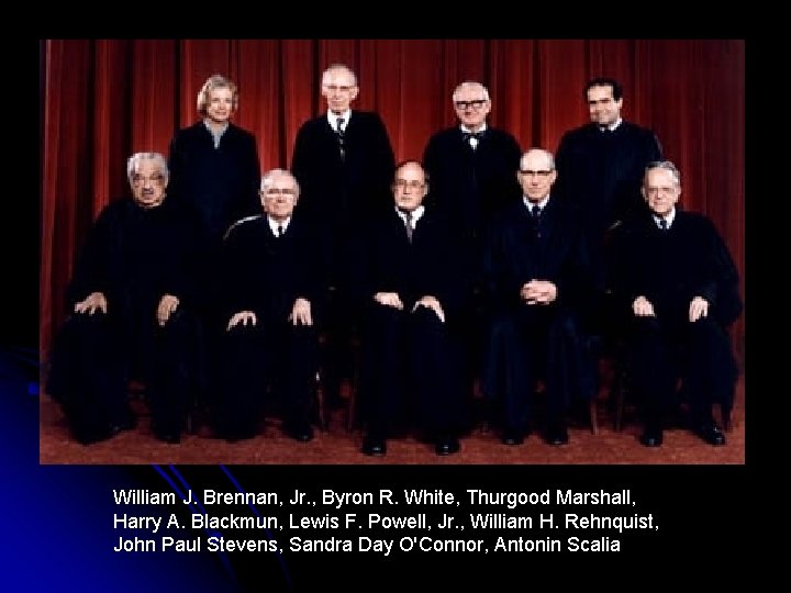 William J. Brennan, Jr. , Byron R. White, Thurgood Marshall, Harry A. Blackmun, Lewis