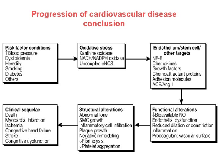 Progression of cardiovascular disease conclusion 