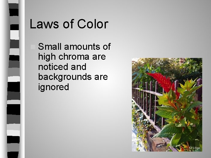 Laws of Color n Small amounts of high chroma are noticed and backgrounds are Laws of Color n Small amounts of high chroma are noticed and backgrounds are