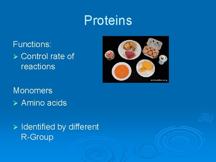 Proteins Functions: Ø Control rate of reactions Monomers Ø Amino acids Ø Identified by