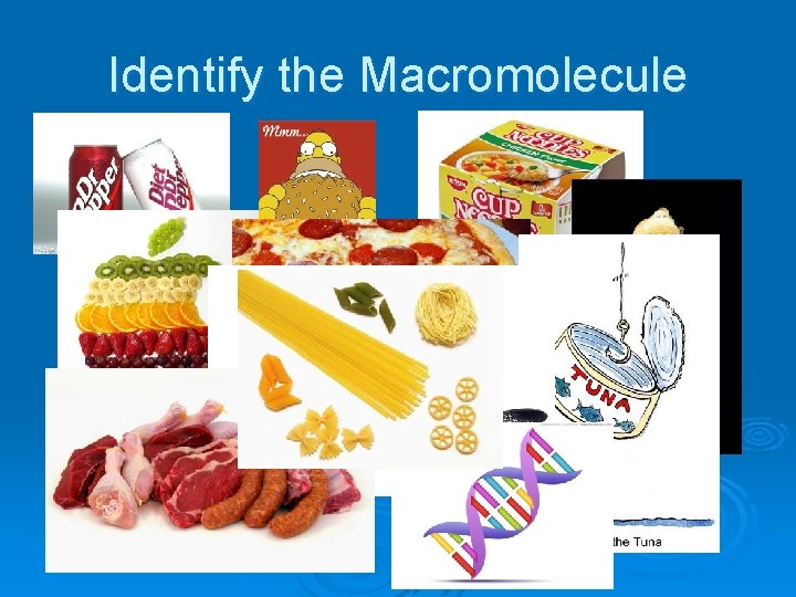 Identify the Macromolecule 