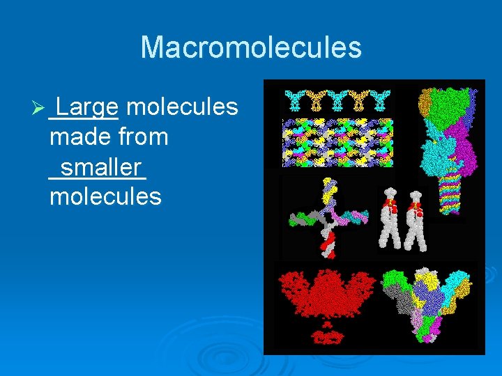 Macromolecules Ø _____ Large molecules made from _______ smaller molecules 