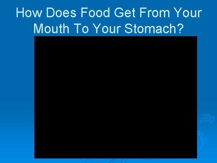 How Does Food Get From Your Mouth To Your Stomach? 