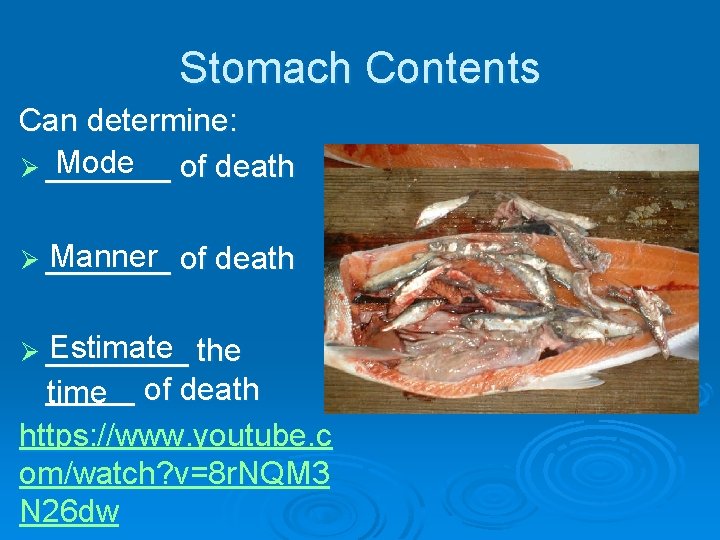 Stomach Contents Can determine: Mode of death Ø _______ Manner of death Ø _______