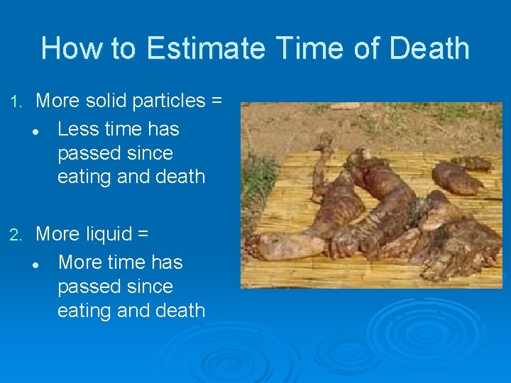 How to Estimate Time of Death 1. More solid particles = l Less time