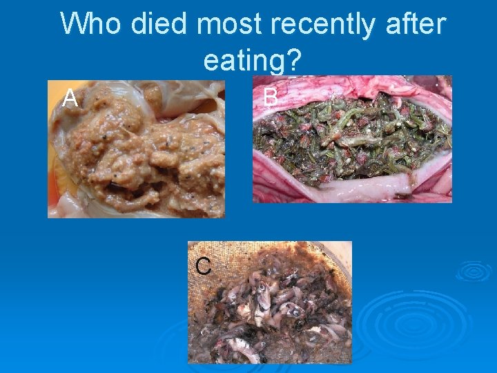 Who died most recently after eating? B A C 