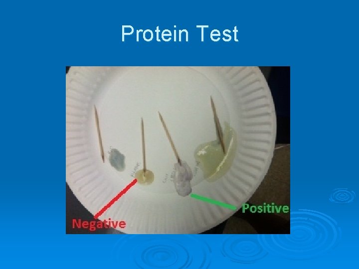 Protein Test 