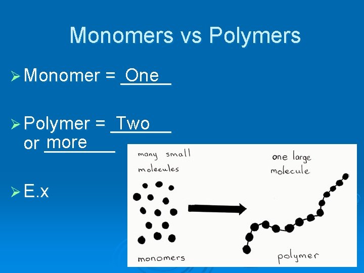 Monomers vs Polymers One Ø Monomer = _____ Two Ø Polymer = ______ more
