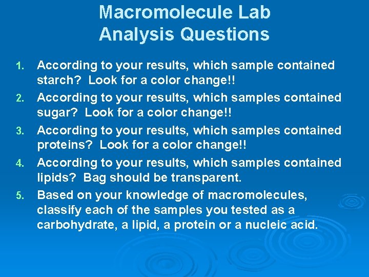 Macromolecule Lab Analysis Questions 1. 2. 3. 4. 5. According to your results, which