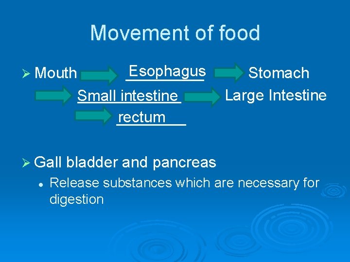 Movement of food Esophagus ____________ Small intestine rectum ____ Ø Mouth Stomach Large Intestine