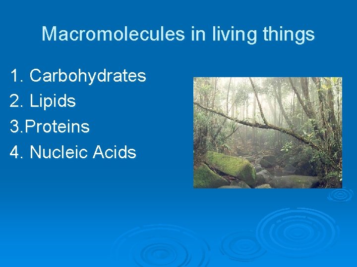 Macromolecules in living things 1. Carbohydrates 2. Lipids 3. Proteins 4. Nucleic Acids 