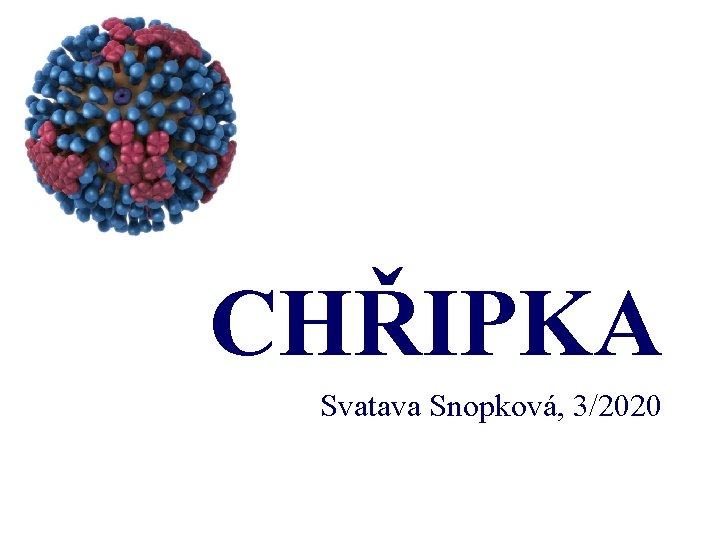 CHŘIPKA Svatava Snopková, 3/2020 